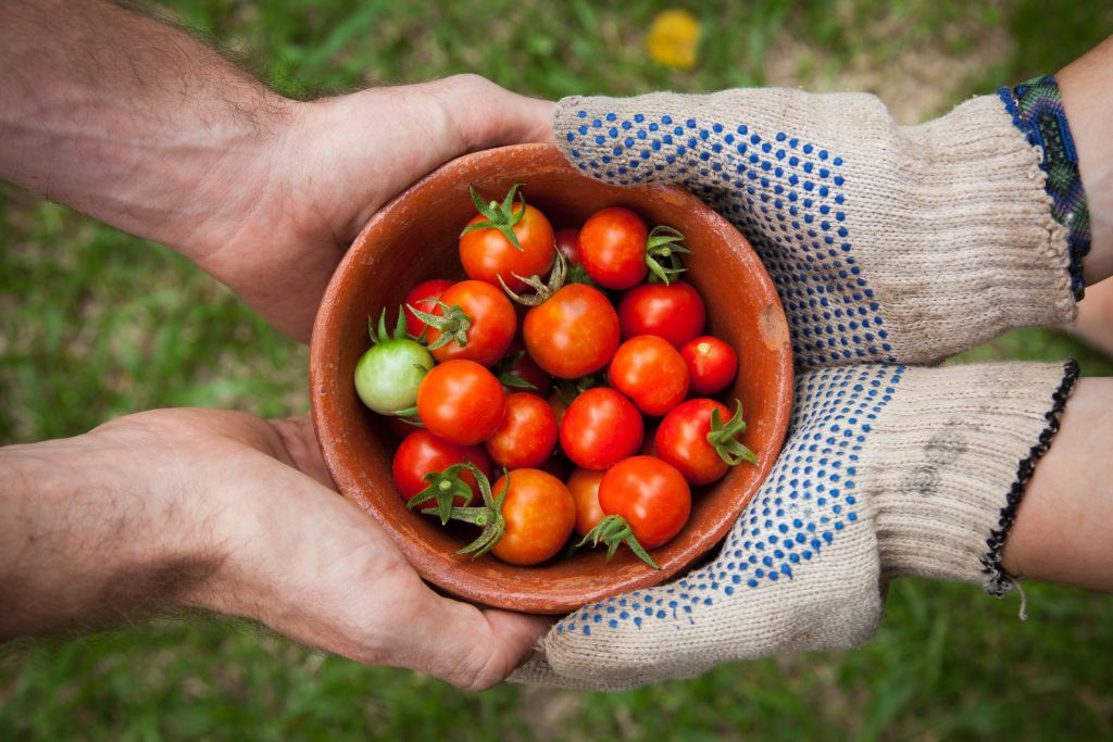 Zwei Handpaar umfassen eine Schale Tomaten